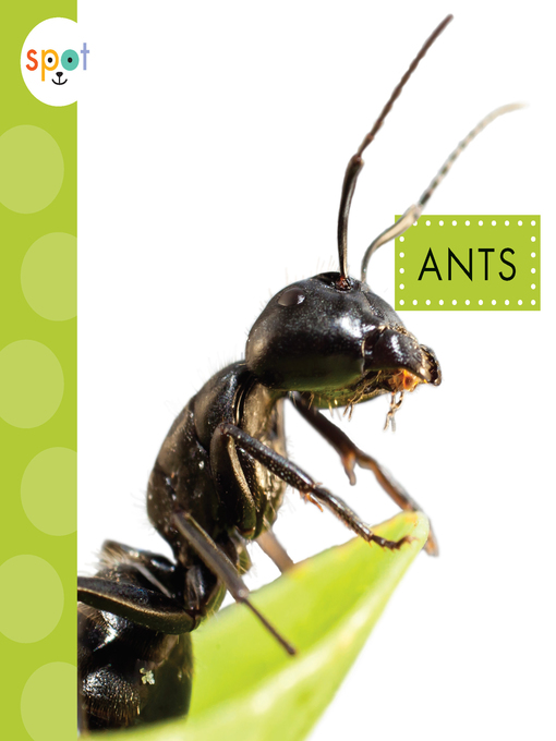 Title details for Ants by Nessa Black - Available